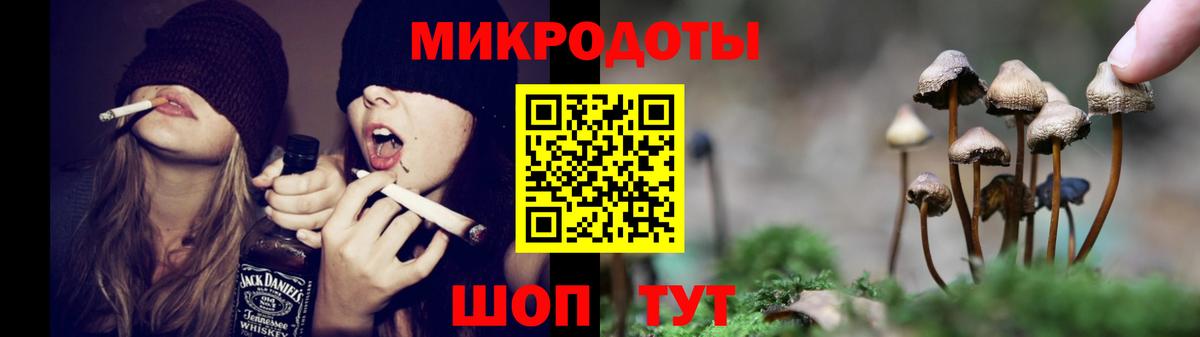 Камышлов  Галлюциногенные грибы Psilocybine cubensis  Вход с VPN  Псилоцибиновые грибы GOLDEN TEACHER 